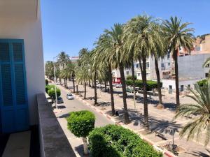 纳祖尔Hotel El Maghreb Al Kabir的享有棕榈树街道和建筑的景色