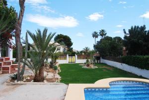 莫莱拉Villa Maria Beach Villa的后院设有游泳池和棕榈树庭院