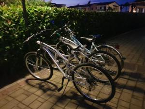 波利科罗I Giardini Elisei的两辆自行车停在路边,彼此相邻