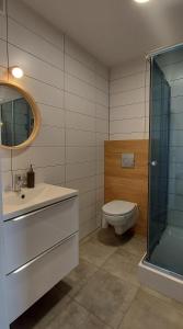 弗龙堡Pokoje Gościnne Cztery Wiatry的浴室配有卫生间、盥洗盆和淋浴。