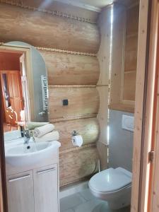 考斯赛力克Dworek na Klinie的浴室配有白色水槽和卫生间。