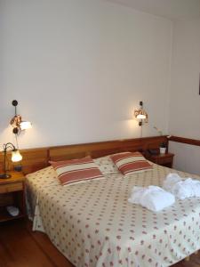 皮埃尔菲特－内斯塔拉法国大酒店的一间卧室配有一张带两个枕头的床