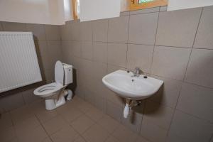 波切尼斯Chata Hlboké的一间带卫生间和水槽的浴室