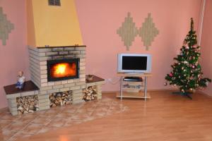 什特尔巴查露普卡民宿的客厅设有壁炉和圣诞树
