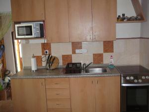 DesovChalupa 73的厨房配有水槽和微波炉
