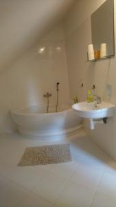 克赛拉迪Lávka Chocerady的白色的浴室设有浴缸和水槽。