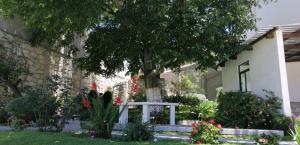 米内拉尔德尔蒙特CASA LUPITA的院子中有一棵树和长凳的房子