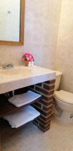 米内拉尔德尔蒙特CASA LUPITA的一间带水槽、卫生间和镜子的浴室