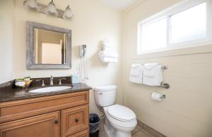 蒙特雷弗兰卡别墅旅馆的一间带卫生间、水槽和窗户的浴室