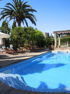 特鲁希略查韦斯宫酒店的一个带椅子和棕榈树的大型游泳池