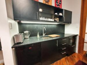 奥克兰Heritage 313 Auckland的厨房配有黑色橱柜和水槽