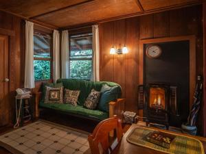 沃尔卡诺Crater Rim Cabin的客厅设有绿色沙发和壁炉