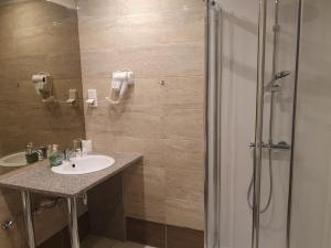 斯拉百斯瑞拉克斯酒店的一间带水槽和淋浴的浴室