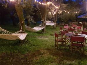 塞拉韦扎Antico Uliveto的树上挂着桌椅的吊床