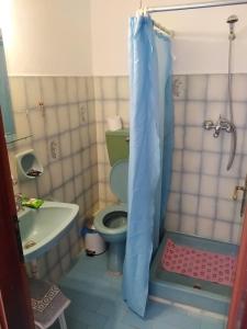 帕尔加Ηotel Della的浴室配有绿色卫生间和水槽。