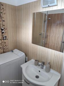 索普隆ALEX Apartman的一间带水槽、卫生间和镜子的浴室