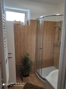 索普隆ALEX Apartman的带淋浴的浴室和植物