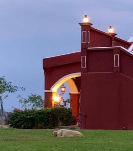 JantetelcoHacienda Santa Clara, Morelos, Tenango, Jantetelco的狗躺在建筑物前面的草上