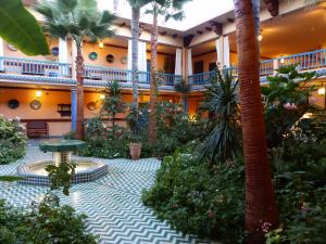 拉巴特拉威拉蔓特林酒店的棕榈树和植物的庭院
