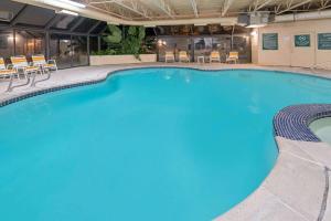 雷顿莱顿盐湖城拉金塔旅馆及套房酒店的蓝色的大游泳池,位于酒店客房内