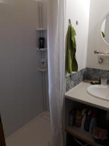圣雷热雷梅累兹Chalet calme的浴室设有淋浴帘,位于水槽旁