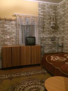 敖德萨Сдам комнату в гостевом домике的一间带电视和床的客厅