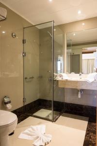 亚历山大亚历山大广场酒店的带淋浴、卫生间和盥洗盆的浴室