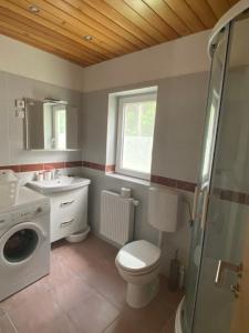戈德马图杰克Sobe v Gozdu的浴室配有卫生间、盥洗盆和洗衣机。