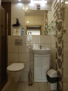 斯图托沃Apartament Królewiecki - pokoje gościnne的一间带卫生间和水槽的小浴室
