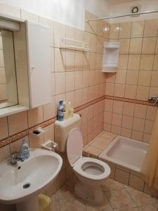 拉斯托伏Apartmani Matiša的浴室配有卫生间、盥洗盆和浴缸。