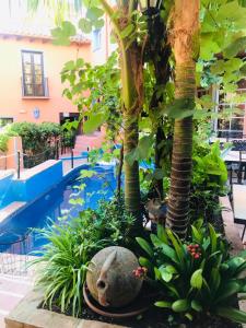 贝纳阿维斯阿曼哈维斯酒店的花园,位于种有树木和泰迪熊的游泳池前