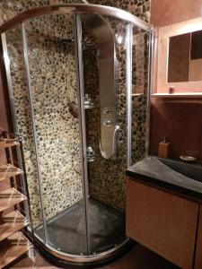 杜萨尔Lac d'Annecy T2 grand jardin的浴室里设有玻璃门淋浴