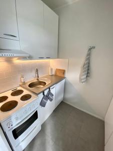 罗瓦涅米Cosy studio apartment - perfect for your stay in Rovaniemi!的小厨房配有炉灶和水槽