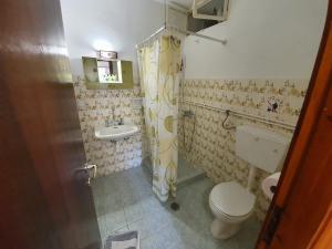 考考纳里斯Dionisos Studios and Apts Skiathos的一间带卫生间和水槽的浴室
