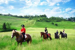 RogatecHouse Donačka Gora的一群在田野里骑马的人