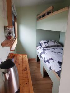 洛哈尔什教区凯尔高地Creaggan Ard Guest House的一间卧室配有双层床,铺有木地板