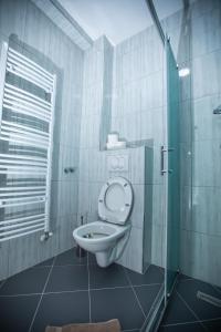 贝拉茨尔克瓦Vila Todorović的一间带卫生间和玻璃淋浴间的浴室