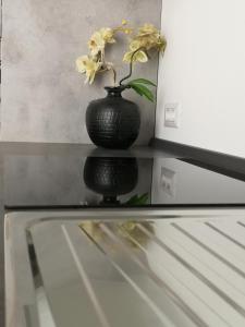 塔维亚诺Casa Vacanza Taviano的柜台顶上带花的黑色花瓶