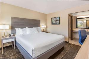 默塞德巴基特旅馆的配有一张床、一张书桌和一扇窗户的酒店客房