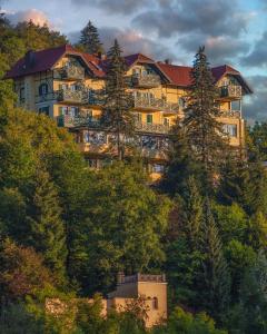 布莱德特里格拉夫酒店的一座大建筑,位于山坡上,树木繁茂