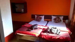 Mādāri HātMystic resort amidst Tea Garden的一间卧室设有两张单人床,拥有红色和橙色的墙壁