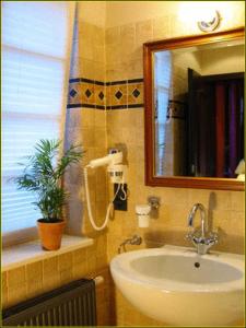 贝格施特拉瑟黑彭海姆巴丁别墅酒店的一间带水槽和镜子的浴室