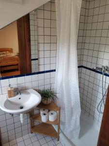 伦达瓦Apartma med vinogradi的一间带水槽和淋浴帘的浴室
