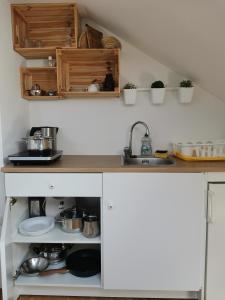 伦达瓦Apartma med vinogradi的厨房配有带锅碗瓢盆的柜台