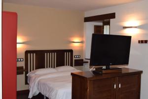 贝加德奥阿尔博拉达德尔奥酒店的一间卧室配有一张床,梳妆台上配有电视