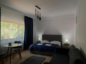 锡纳亚Residence SINAIA Apartments的相册照片