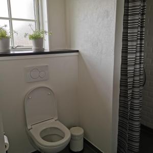 TranebjergSamsø værelseudlejning的一间带卫生间和窗户的小浴室