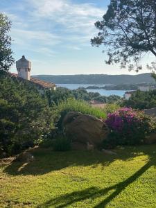 切尔沃港Residence Gli Oleandri 128 - Costa Smeralda - Porto Cervo的一座花园,花园内拥有岩石和灯塔