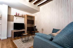 塞尼塞罗RIOJAVALLEY Apartamentos的客厅配有蓝色的沙发和电视