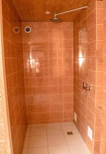 米日吉里亚Файна Хижа的一间铺有棕色瓷砖的带淋浴的浴室